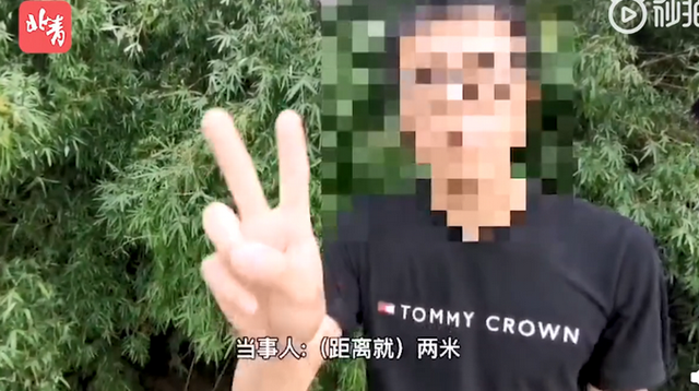 第682页