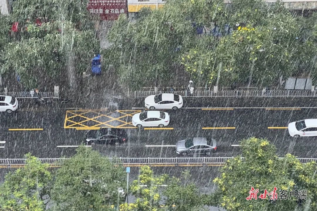 娱乐生活 第110页