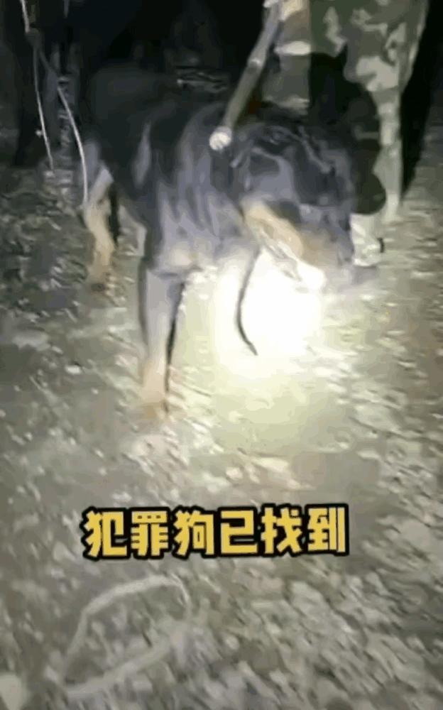 娱乐生活 第102页