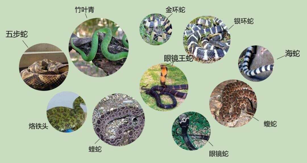 热点生活 第91页