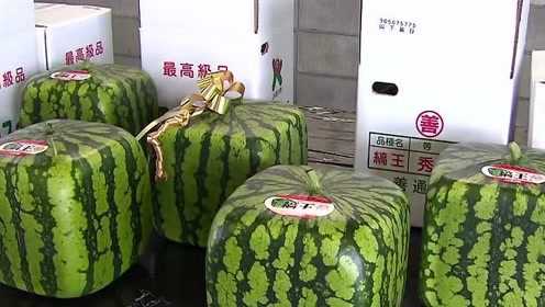 港澳新闻 第74页