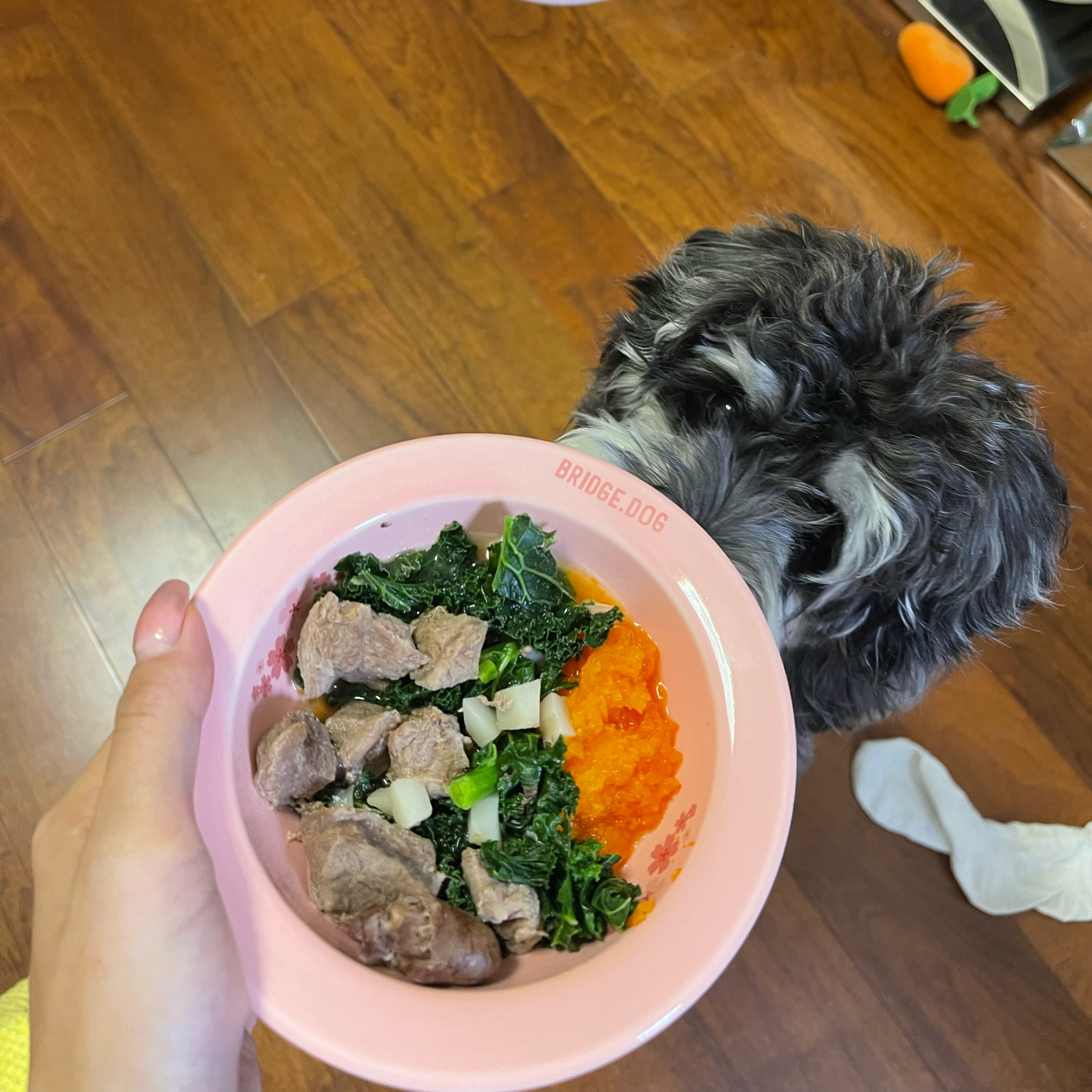 娱乐生活 第50页