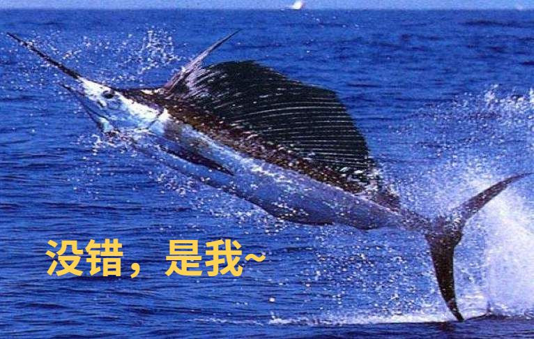 港澳新闻 第28页